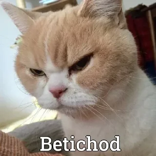 🙂 emoji Decent B0¥~~'s stic-pack (@komiXprobot) Telegram sticker 12 of 112