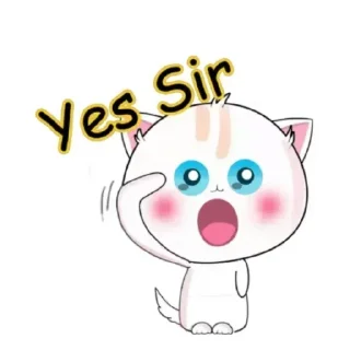 Sticker from Cute Cat || @harsh246