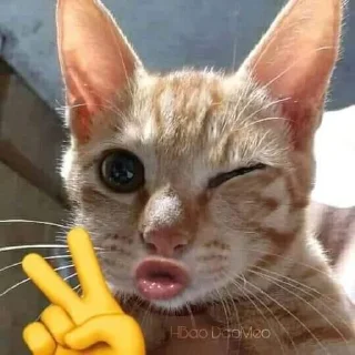 ⭐ emoji ᅠ      ೀ  @ch2rie  ◌  @stikie  ྀ Telegram sticker 6 of 120