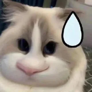 ⭐ emoji ᅠ      ೀ  @ch2rie  ◌  @stikie  ྀ Telegram sticker 7 of 120