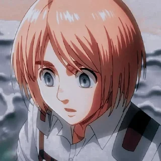Sticker from Armin