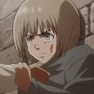 Sticker from Armin
