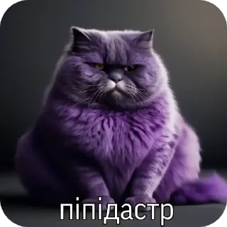 🐱 emoji Amazing Walrus Telegram sticker 1 of 12