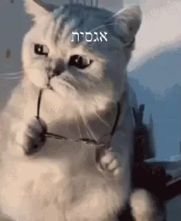 🙂 emoji 𝗔𝗜𝗭𝗘𝗡 𝗦𝗔𝗥'𝗦 𝗣𝗔𝗖𝗞▪️ Telegram sticker 10 of 51
