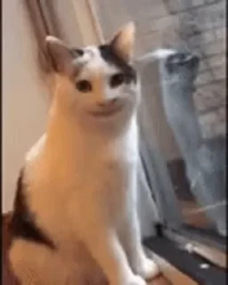 🙂 emoji 𝗔𝗜𝗭𝗘𝗡 𝗦𝗔𝗥'𝗦 𝗣𝗔𝗖𝗞▪️ Telegram sticker 11 of 51