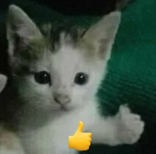Sticker from he