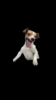 🙂 emoji 𝗔𝗜𝗭𝗘𝗡 𝗦𝗔𝗥'𝗦 𝗣𝗔𝗖𝗞▪️ Telegram sticker 8 of 51