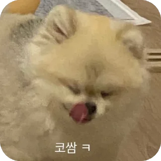 🤧 emoji Dog dog Telegram sticker 10 of 14