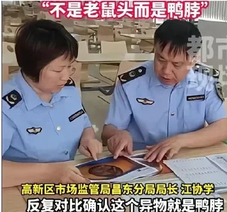Sticker from 鼠鼠我鸭