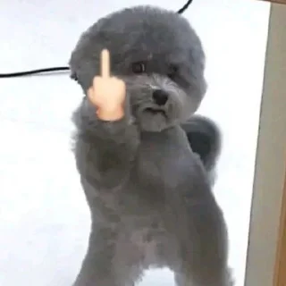 🖕 emoji efek wingbu @cieciwsr Telegram sticker 12 of 28