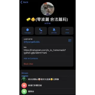 Sticker from 零異種子