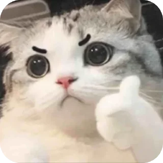 🐱 emoji Rb Telegram sticker 15 of 15