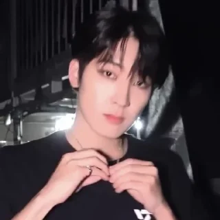 🐈 emoji Wonwoo Telegram sticker 4 of 13