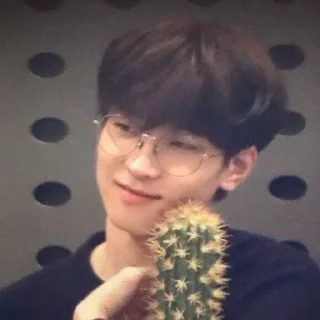 🌟 emoji Wonwoo Telegram sticker 3 of 13