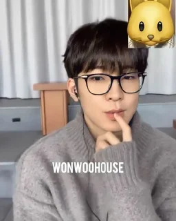 🌟 emoji Wonwoo Telegram sticker 7 of 13