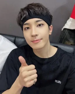 🌟 emoji Wonwoo Telegram sticker 12 of 13