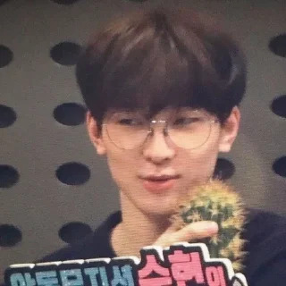 🌟 emoji Wonwoo Telegram sticker 1 of 13