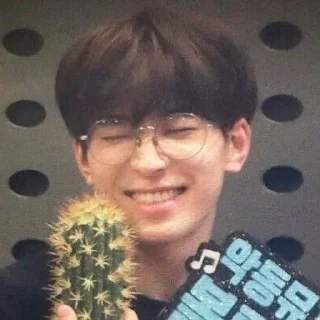 🐈 emoji Wonwoo Telegram sticker 2 of 13