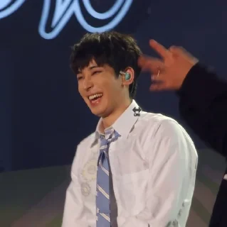 🐈 emoji Wonwoo Telegram sticker 6 of 13