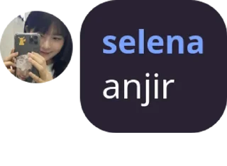 🤭 emoji selena @iverappers Telegram sticker 8 of 36