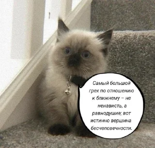 Sticker from и чья это вина