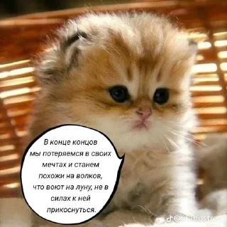 Sticker from и чья это вина