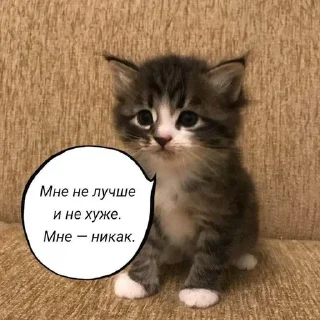 Sticker from и чья это вина