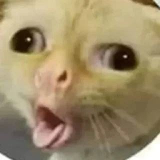 🤪 emoji @mhmdfjrmln's userbot pack 1 Telegram sticker 11 of 102