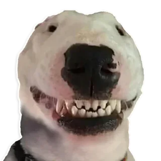 Sticker from अंकुर's sticker pack (@Kora_Xbot)