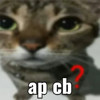 Sticker from puki