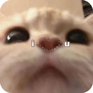 Sticker from .