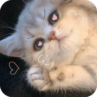 Sticker from .