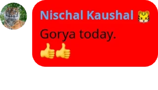 Sticker from Lynch Pack