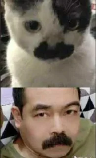 🗿 emoji volka bangga menjadi wibu 🗿 Telegram sticker 9 of 10