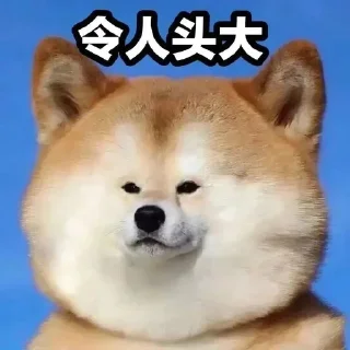 Sticker from @CDNpaopao  卖CDN的泡泡1