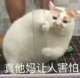 Sticker from 云木的静态贴纸包