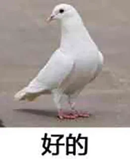 🐦 emoji Direction. 今天又整了什么活？ Telegram sticker 24 of 105