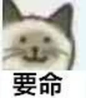 🌚 emoji Direction. 今天又整了什么活？ Telegram sticker 12 of 105