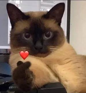 🫰 emoji Kobokan Rindu Telegram sticker 16 of 56