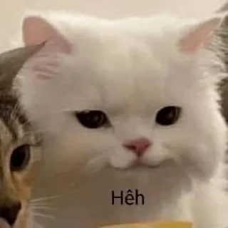 🙃 emoji Sticker_anhngoc2 Telegram sticker 16 of 120