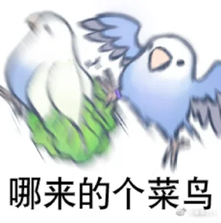 Sticker from 文明小鸟芋圆 @猛禽bot