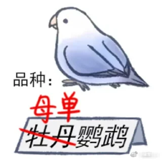 Sticker from 文明小鸟芋圆 @猛禽bot