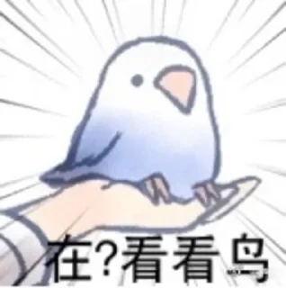 Sticker from 文明小鸟芋圆 @猛禽bot