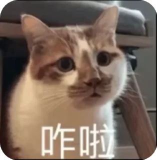 Sticker from 心動小寶貝 @F76av