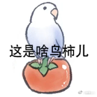 🍅 emoji 实用鸟图 作者微博@猛禽bot Telegram sticker 2 of 109