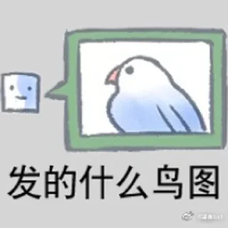 🖼 emoji 实用鸟图 作者微博@猛禽bot Telegram sticker 5 of 109