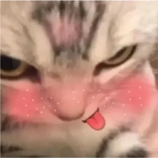 😼 emoji Miawww @goanteng Telegram sticker 2 of 41