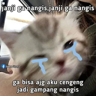 😼 emoji Miawww @goanteng Telegram sticker 7 of 41