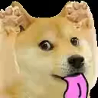😂 emoji @lucifer9462's Pack 1 (Video) Telegram sticker 23 of 43
