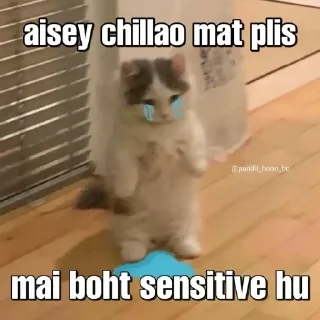 🥲 emoji Anshul's Telegram sticker 14 of 81